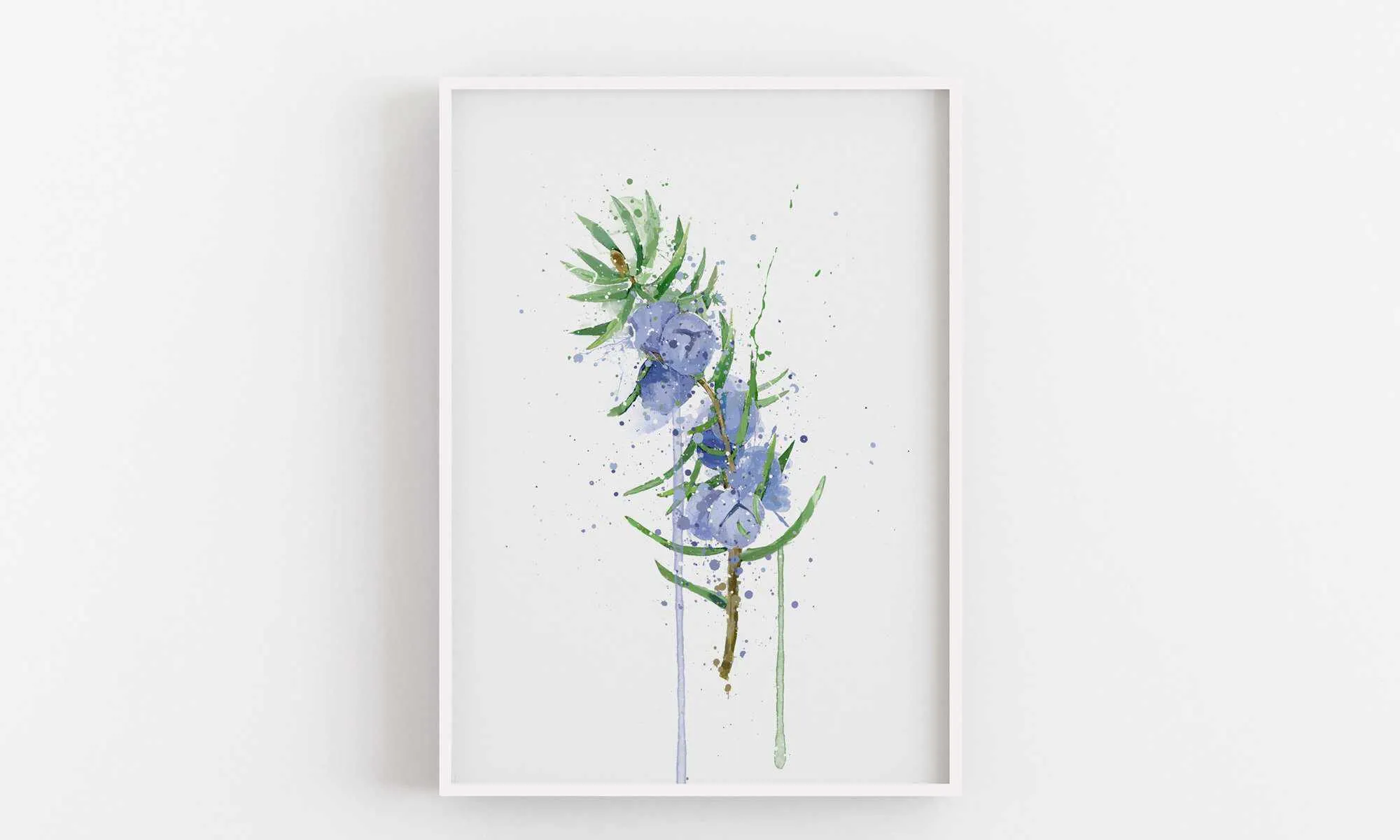 Botanical Wall Art Print ‘Juniper’ - Plant Prints, Botanical Art Prints and Botanical Illustrations