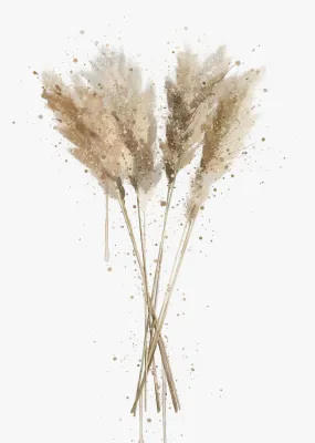 Botanical Wall Art Print 'Pampas Grass' - Plant Prints, Botanical Art Prints and Botanical Illustrations