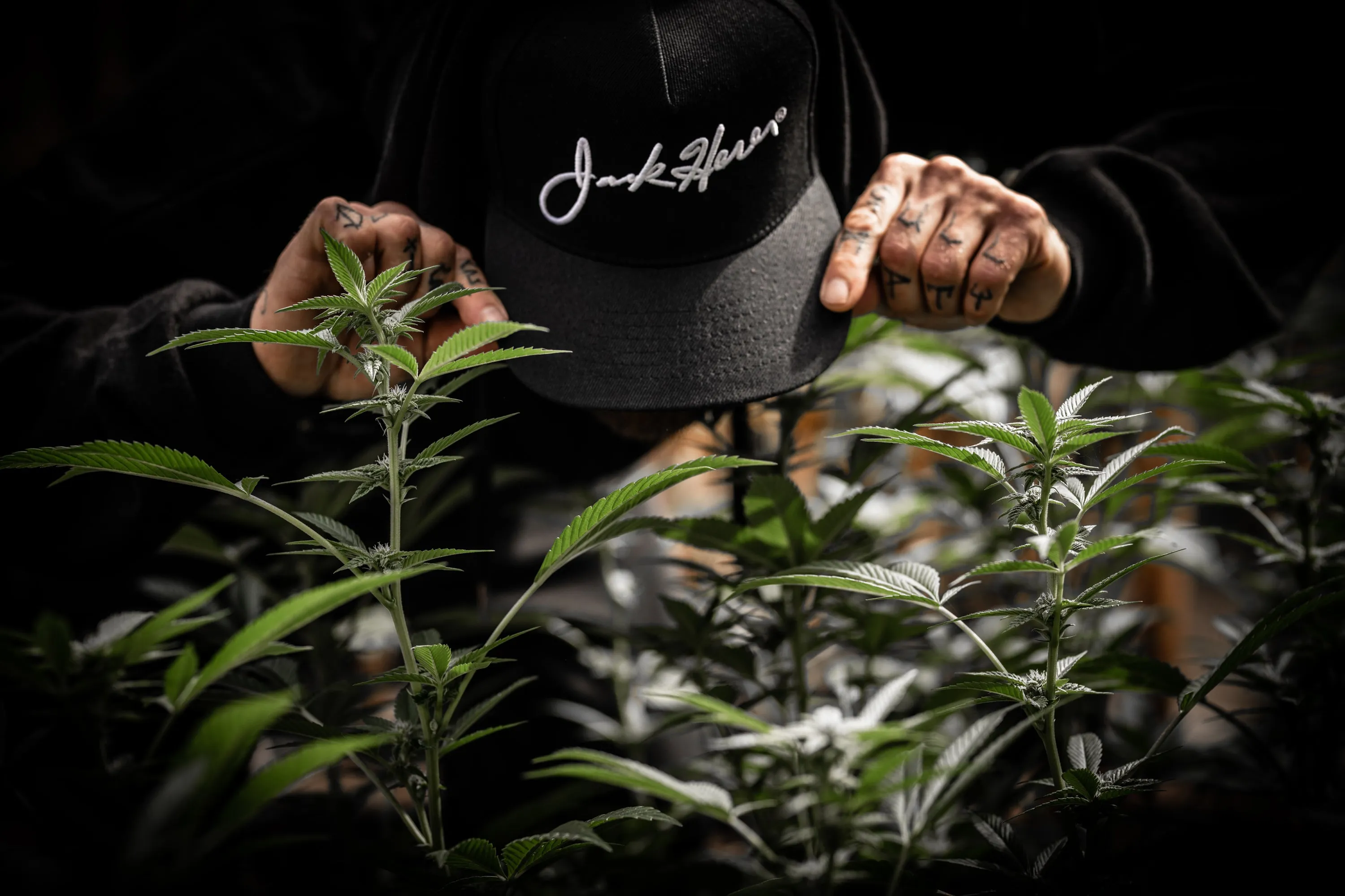 JACK HERER SIGNATURE HEMP CAP